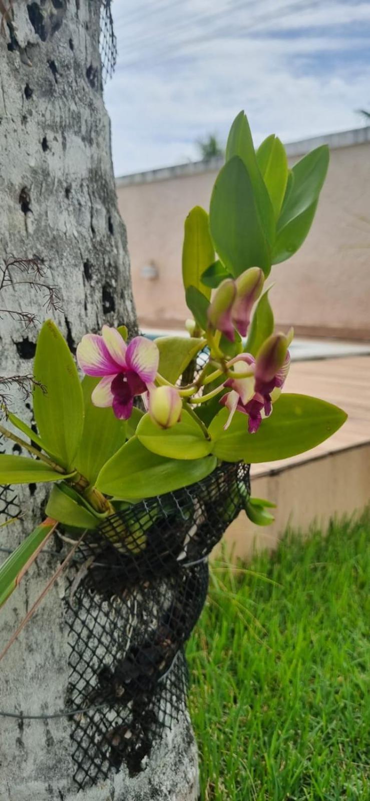 Uma Casa Para O Descanso! Camaçari Kültér fotó